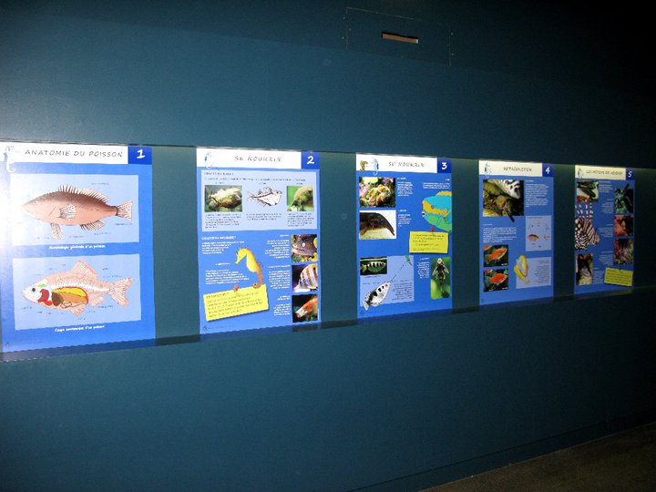 Panneaux poissons