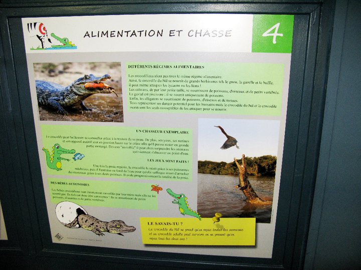 Panneaux crocodiles