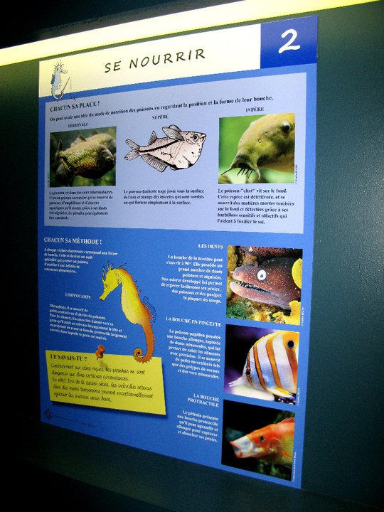 Panneaux poissons