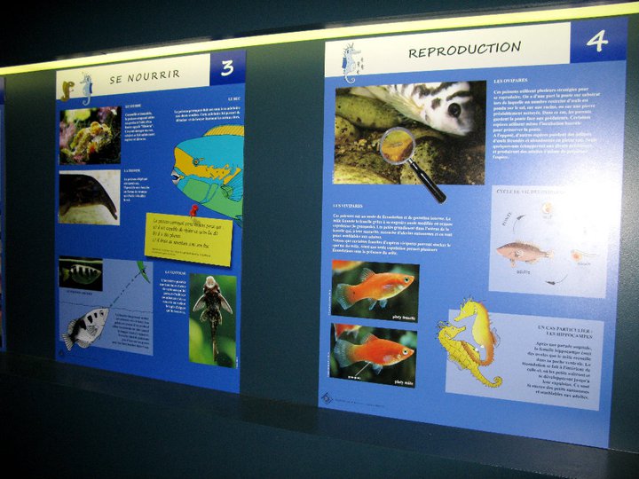 Panneaux poissons