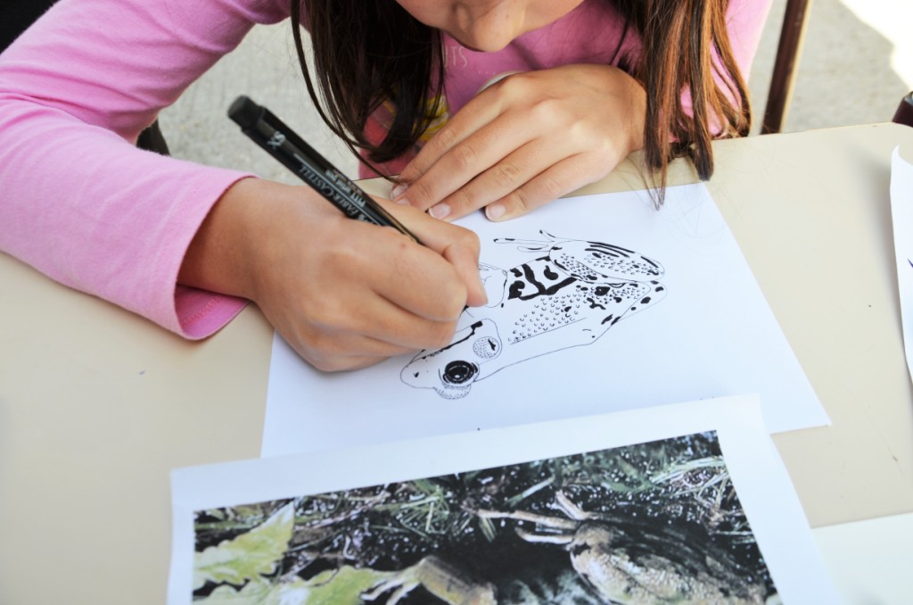Atelier Festiphoto
