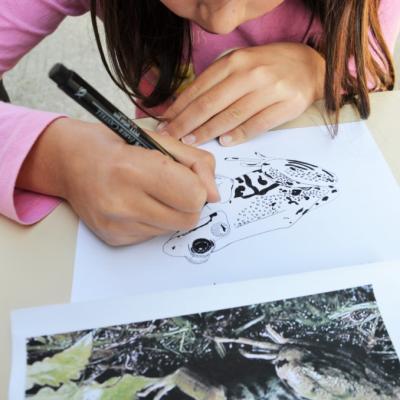 Atelier Festiphoto