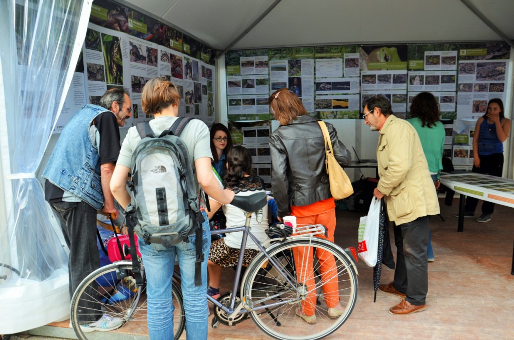 Fête de la nature