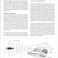 Page illustrée de l'atlas 2