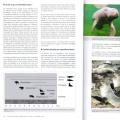 Page illustrée de l'atlas 3 (travail manuel et numérique)