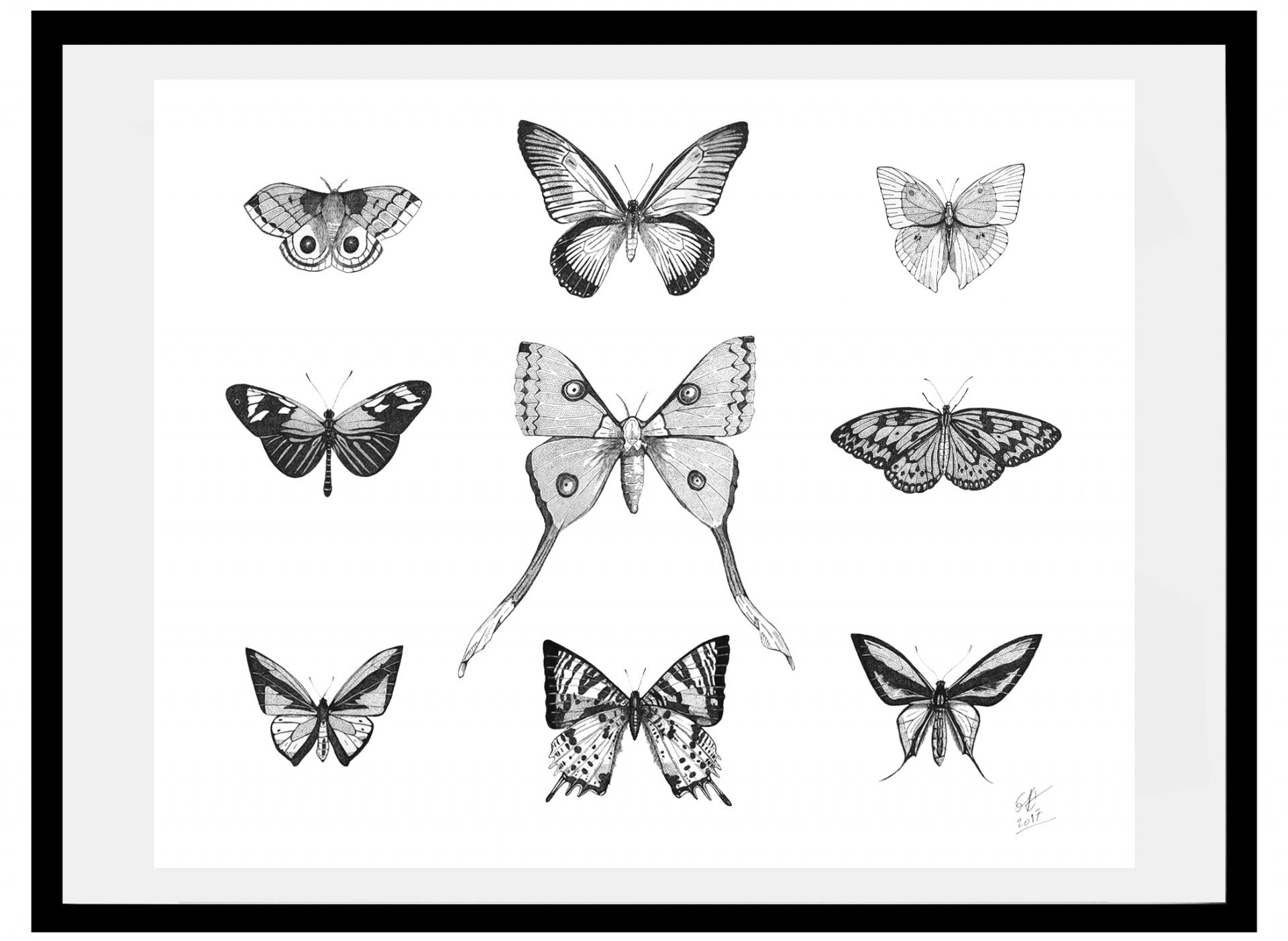 Papillons 56x45 cm