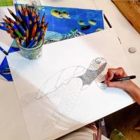 Cours enfant (8 ans)