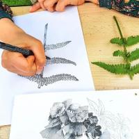 Cours adulte (stage d'initiation 2 heures)